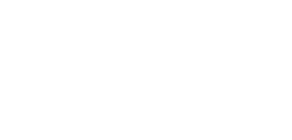 fiserve_logos_0006_Kap_Bus_Sch_White